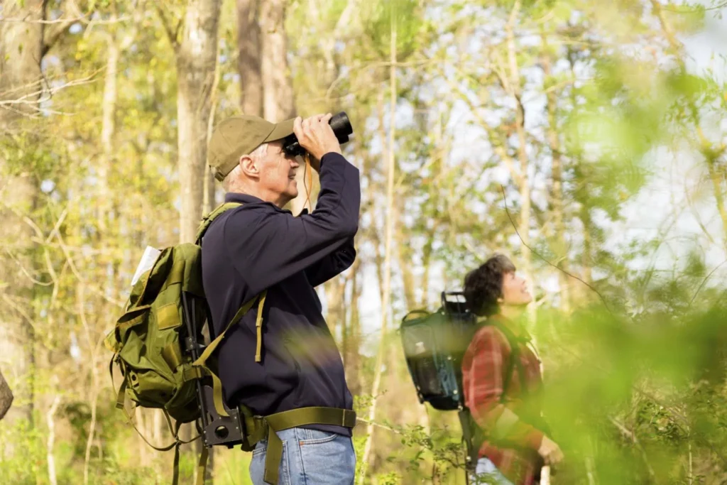 Birding tours and safaris