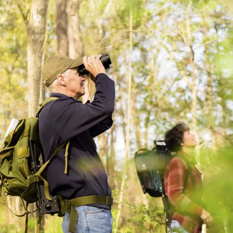 Birding tours and safaris