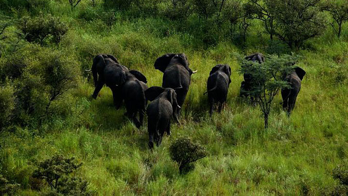 Boma NP