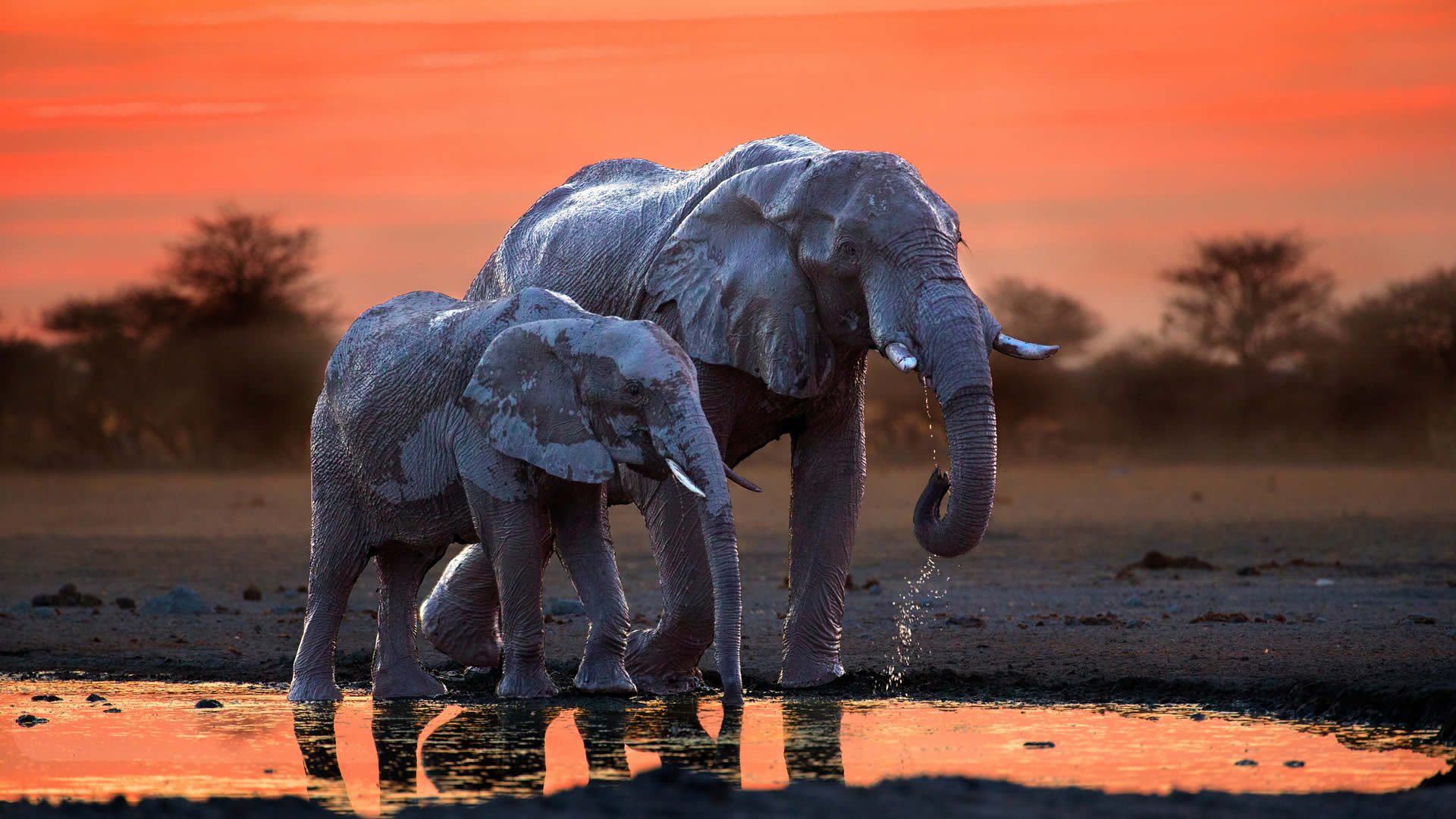 Botswana