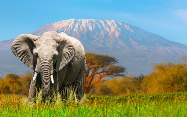 Kenya