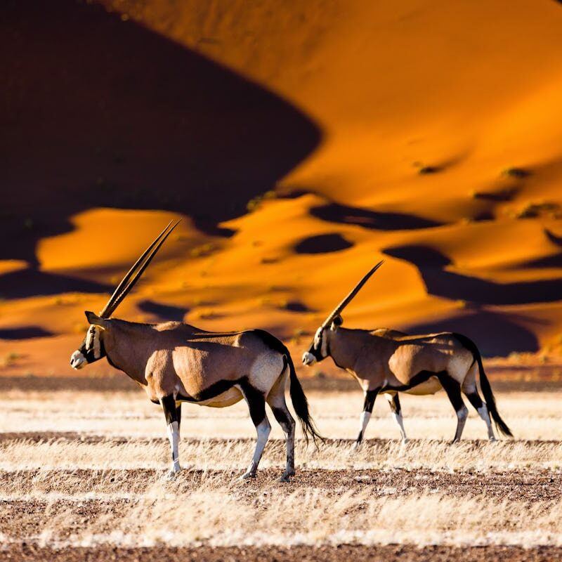 Namibia