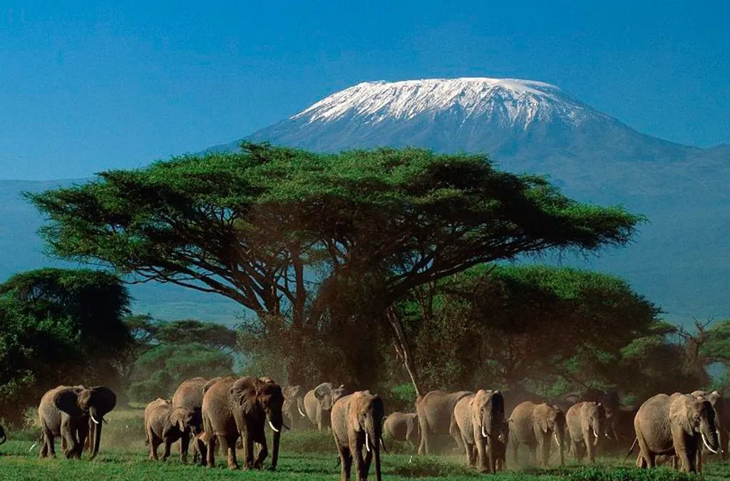Tanzania