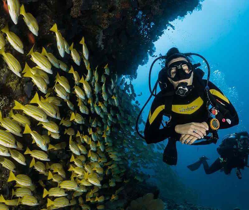 Diving