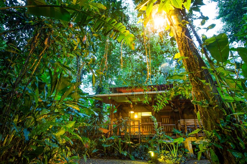 Eco friendly accommodations
