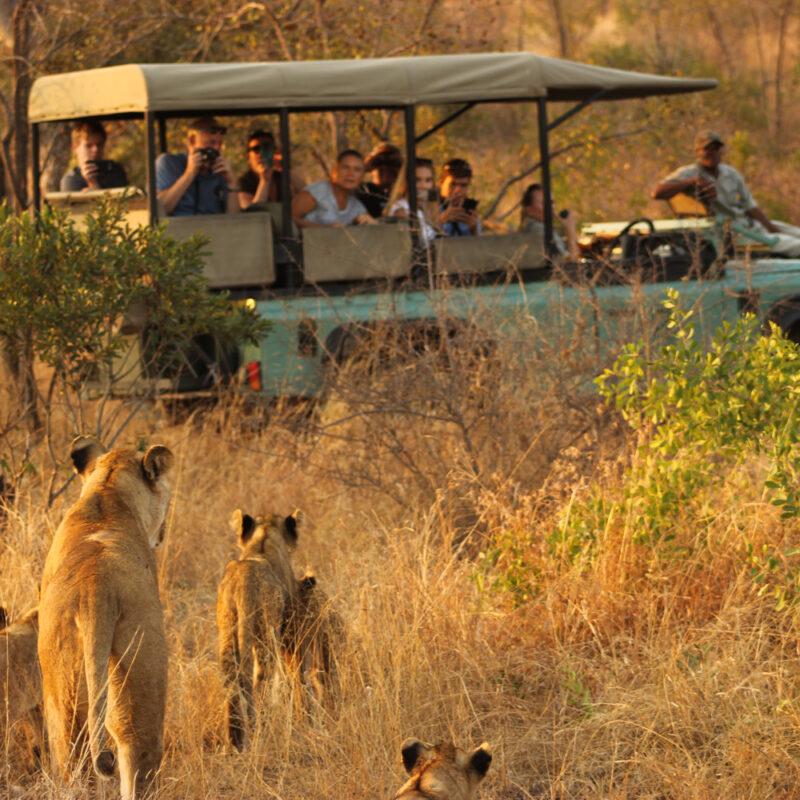 Game drives