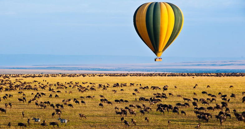 hot air balloon rides