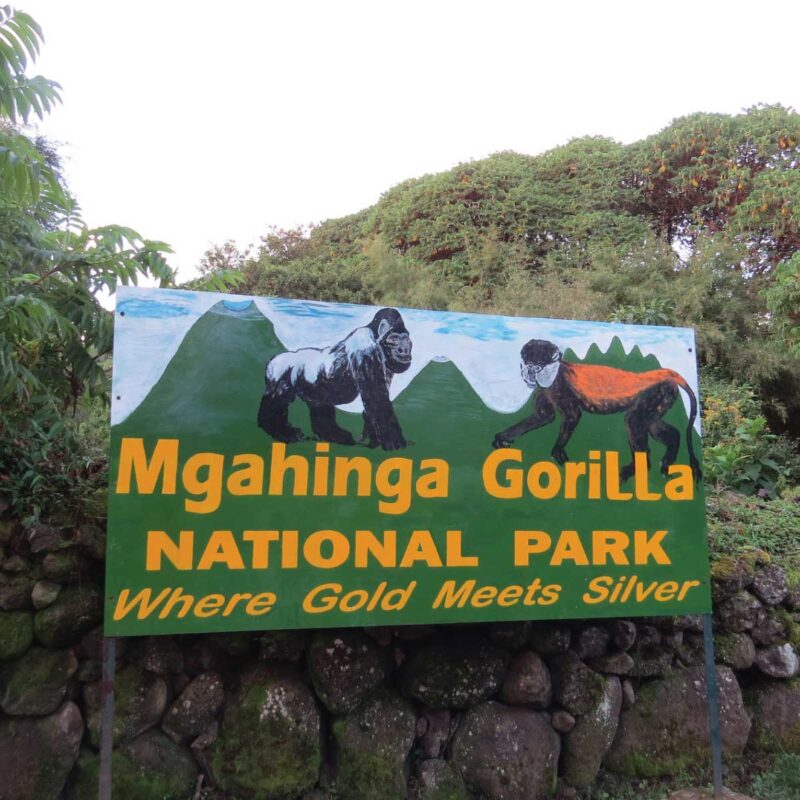 Mgahinga Gorilla National Park