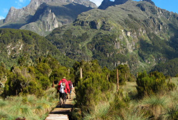 Mount Elgon National Park