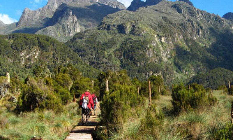 Mount Elgon National Park