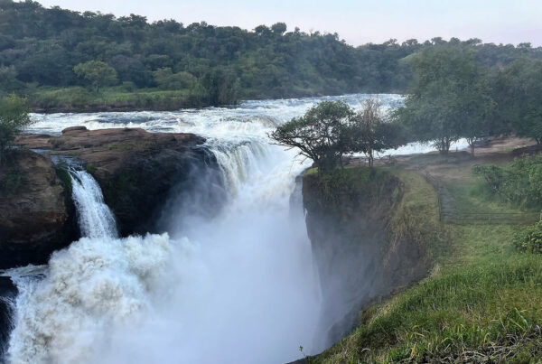 Murchison Falls National Park