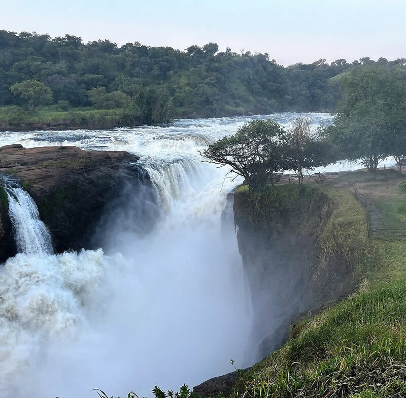 Murchison Falls National Park