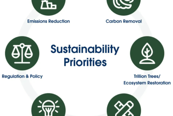 Our sustainability efforts