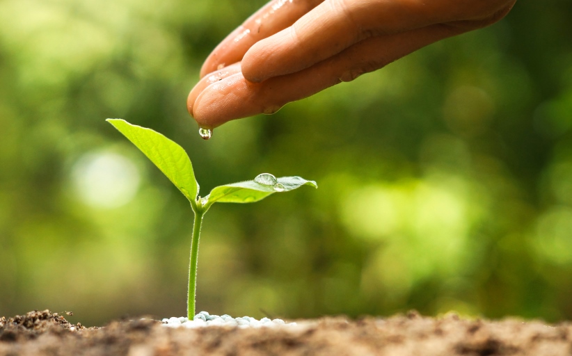 Our sustainability efforts
