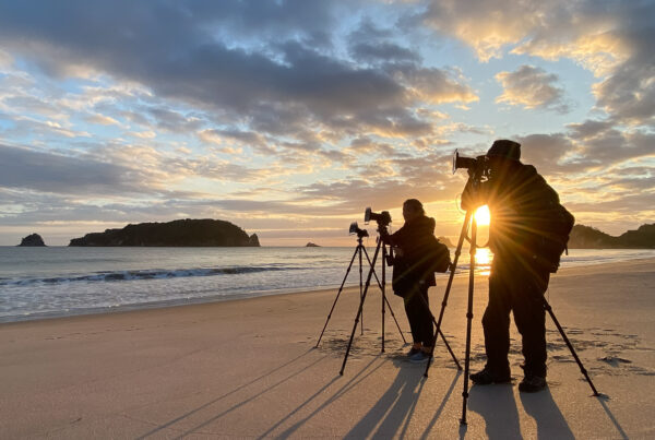 Photography holidays