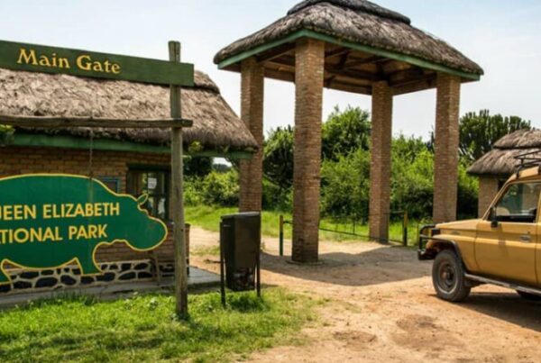 Queen Elizabeth National Park