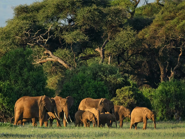 Shambe National Park