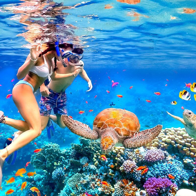 Snorkeling