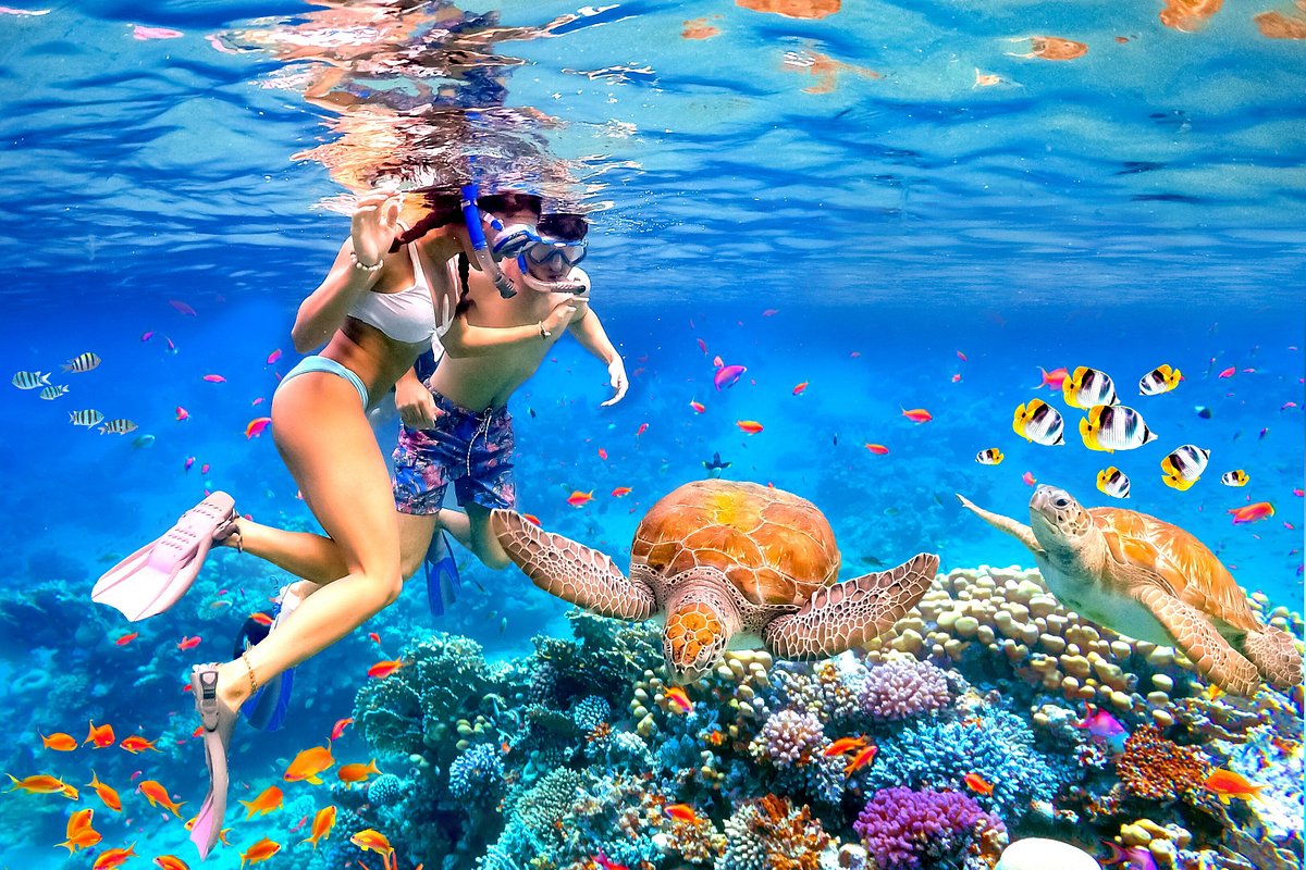Snorkeling