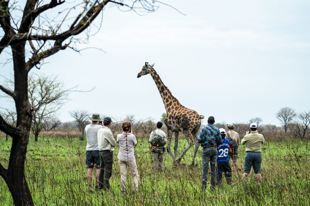Southern National Park