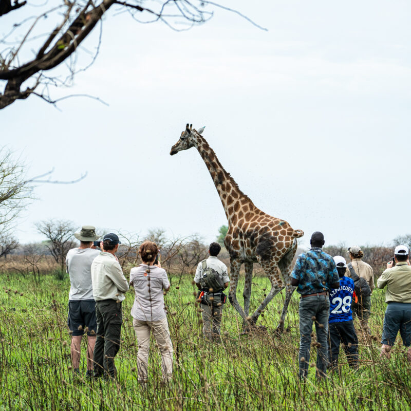 Southern National Park