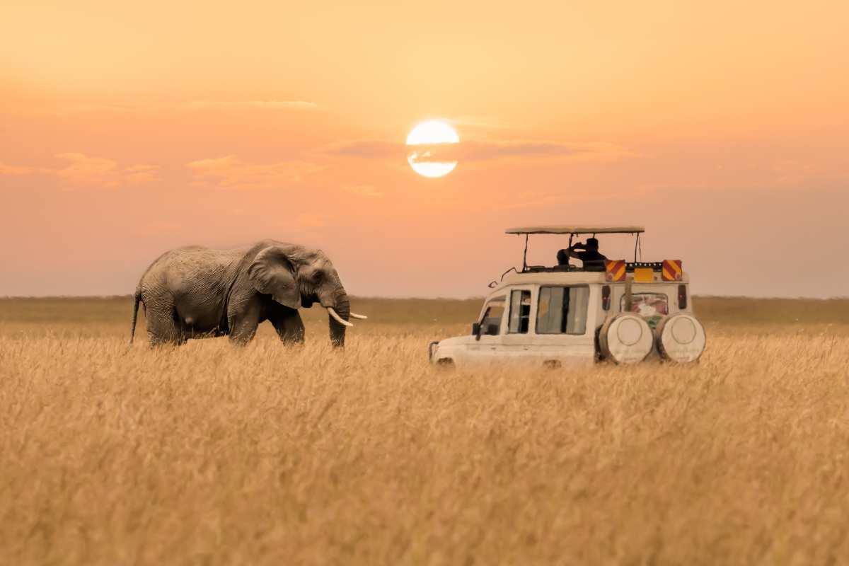 The top 10 Africa Wildlife Safaris and Holiday Destinations