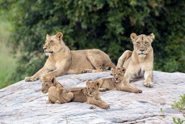 Upemba National Park