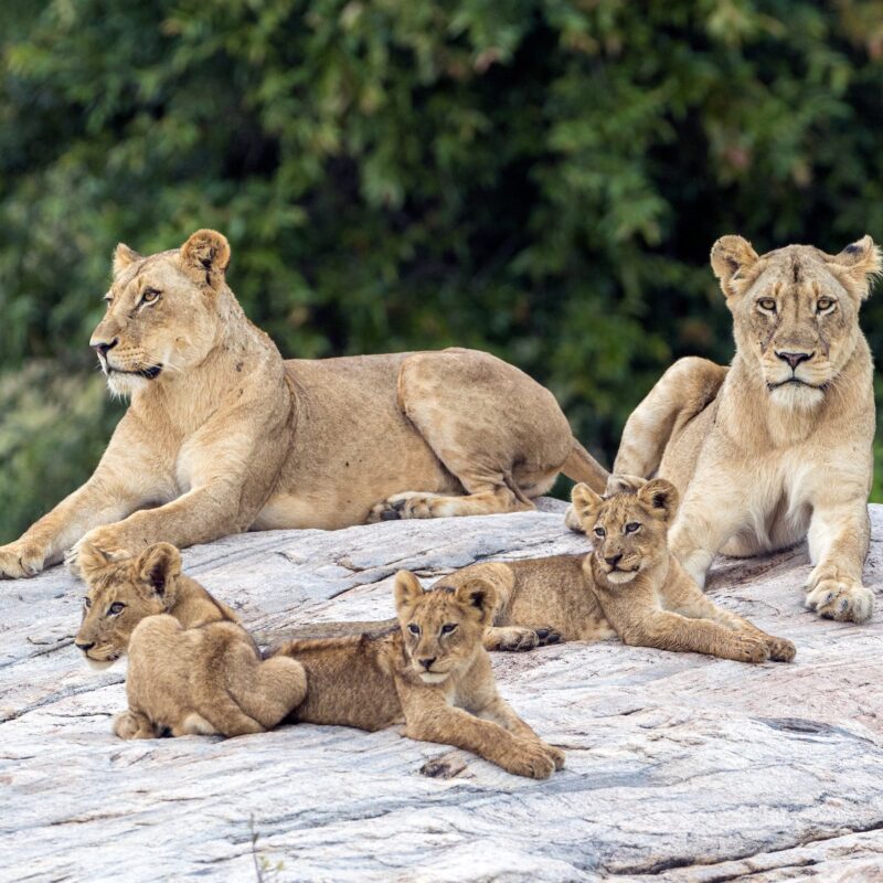 Upemba National Park
