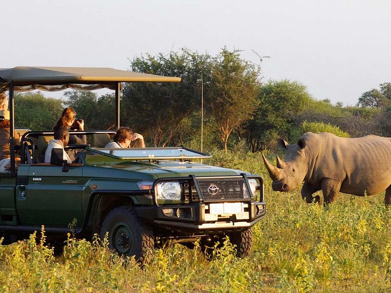 Wildlife holidays