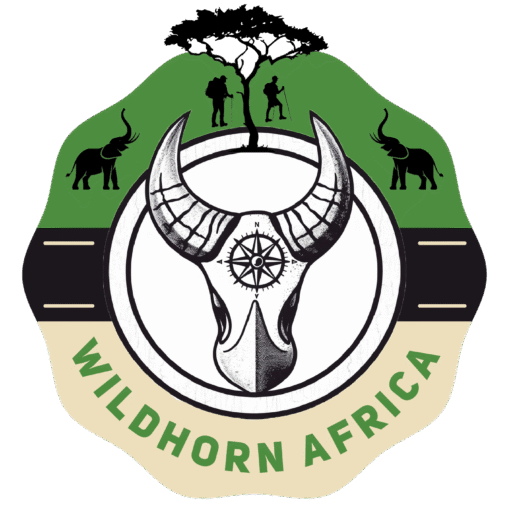 WildHorn Africa