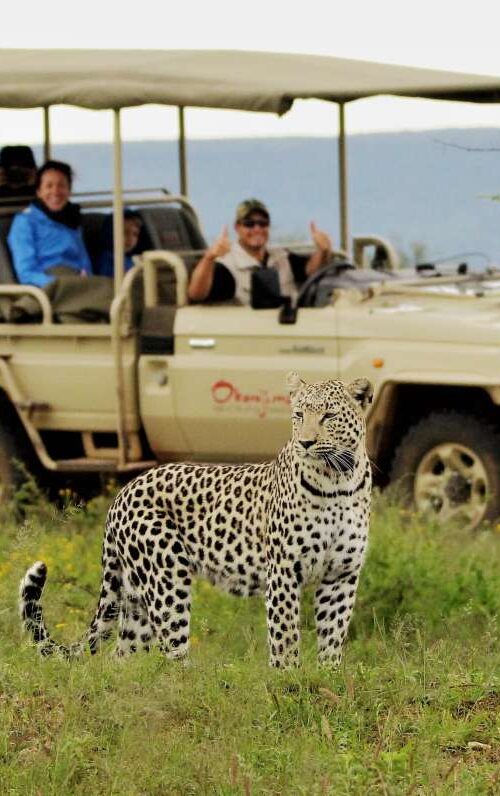 10 Insights on What To Expect on Safari