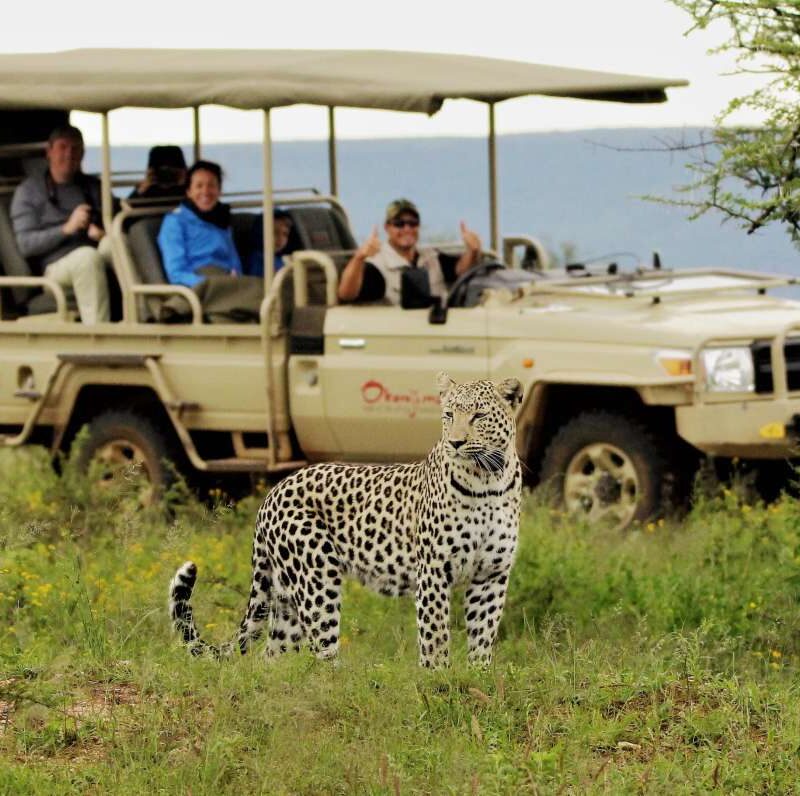10 Insights on What To Expect on Safari