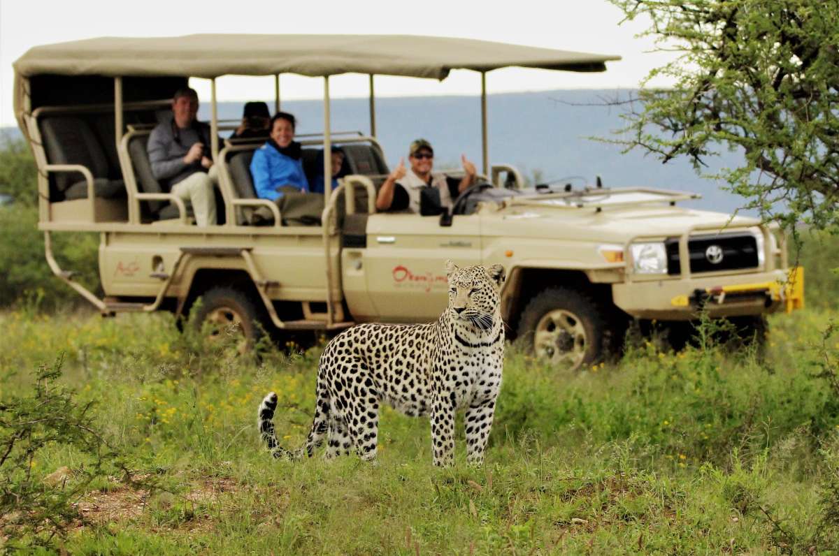 10 Insights on What To Expect on Safari