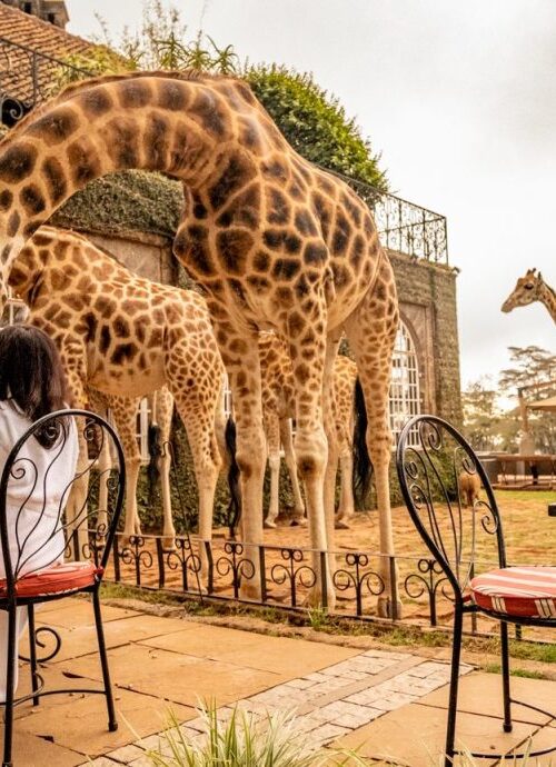 10 Most Beautiful and Interesting Places To Visit in Kenya