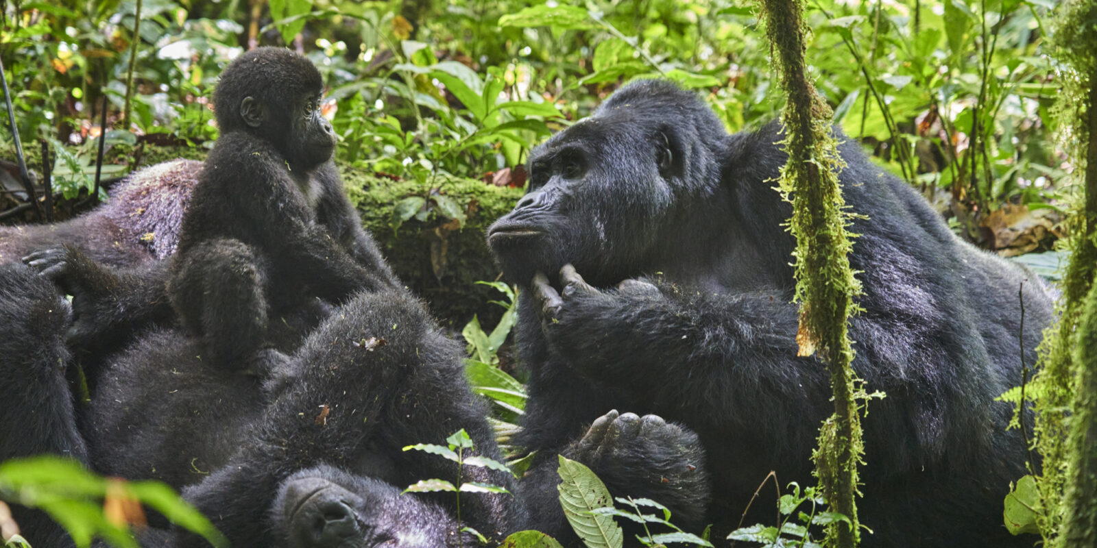 10 of the Safest Places To Visit in Africa in 2025 - 2026