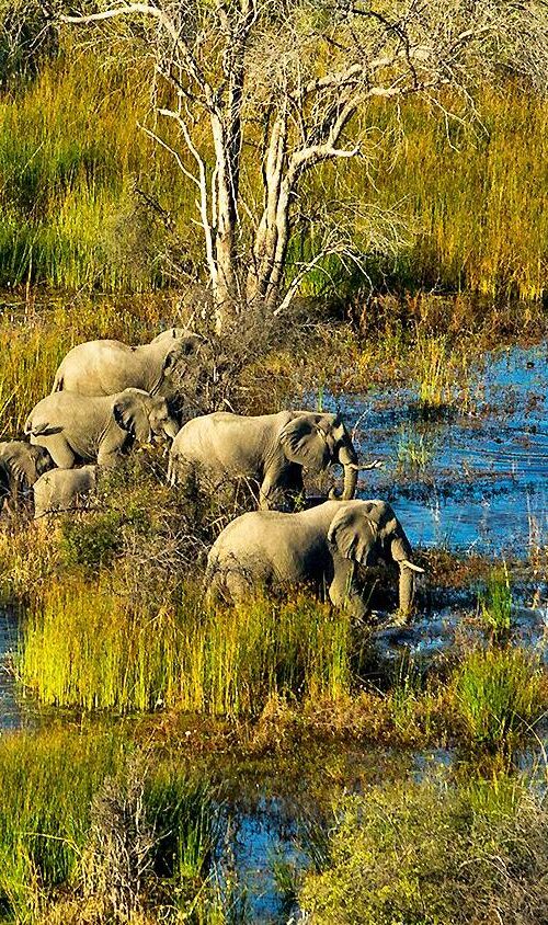 10 of the Safest Places To Visit in Africa in 2025 - 2026