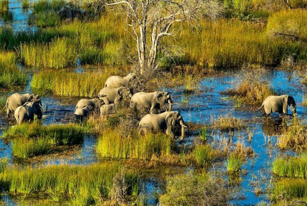 10 of the Safest Places To Visit in Africa in 2025 - 2026