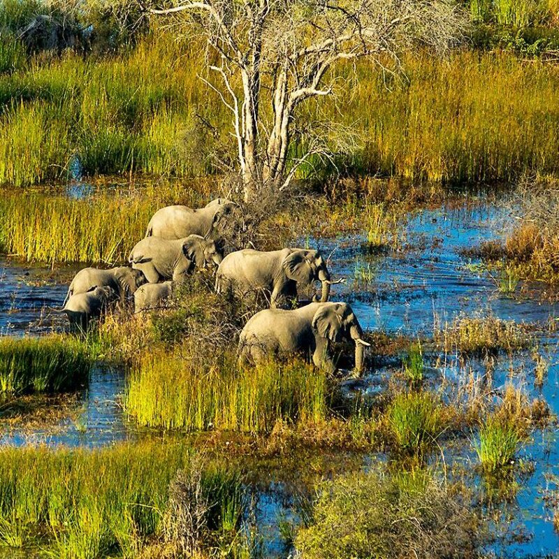 10 of the Safest Places To Visit in Africa in 2025 - 2026