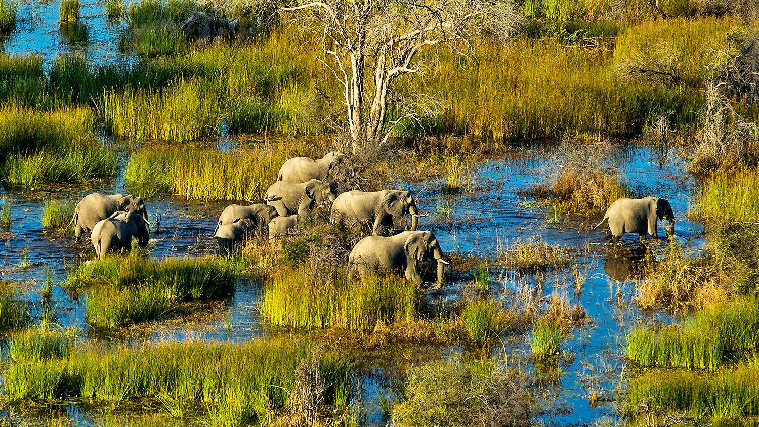 10 of the Safest Places To Visit in Africa in 2025 – 2026