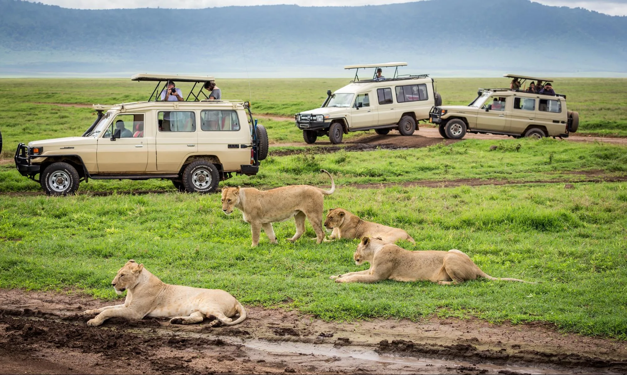 3-Day Masai Mara National Reserve Safari