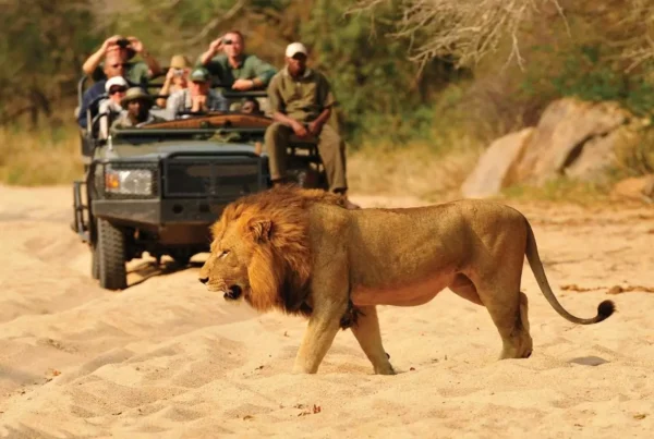 4-Day Private Kruger Park Safari