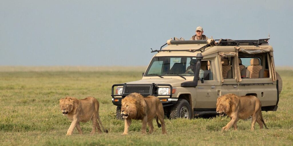 4-Day Tarangire, Serengeti & Ngorongoro Lodge Safari Tour