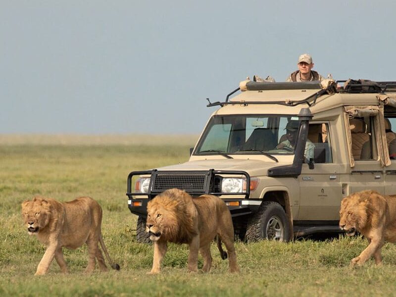 4-Day Tarangire, Serengeti & Ngorongoro Lodge Safari Tour