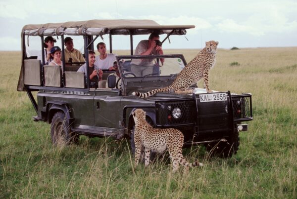 7-Day Magical Kenya Luxury Safari