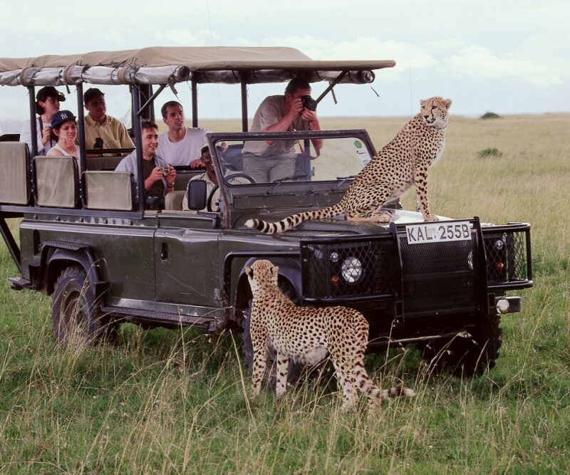 7-Day Magical Kenya Luxury Safari