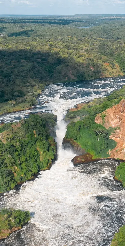 Africa's Best Safari Country of 2025 - 2026