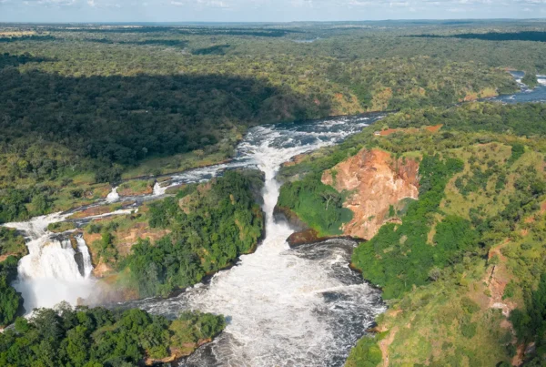 Africa's Best Safari Country of 2025 - 2026