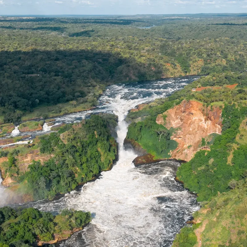 Africa's Best Safari Country of 2025 - 2026