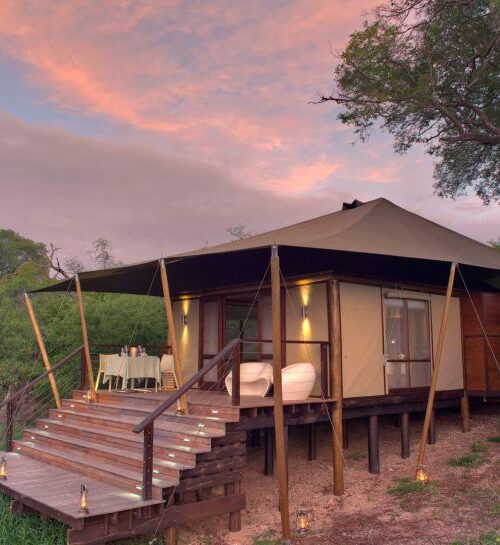 Best Safari Lodges and Camps in South Africa