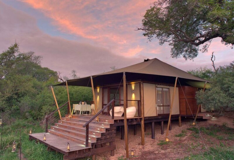 Best Safari Lodges and Camps in South Africa